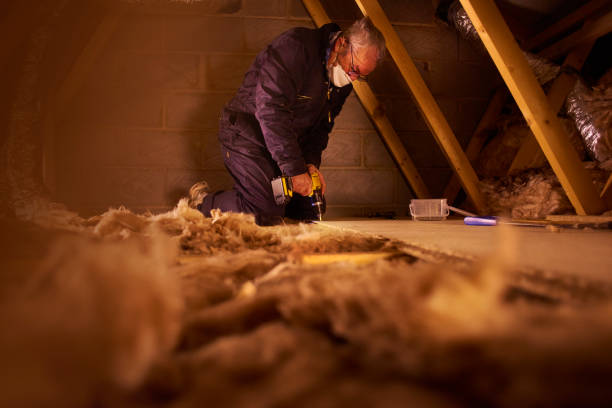 Types of Insulation We Offer in Converse, TX